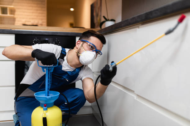 Best Emergency Pest Control  in North Druid Hills, GA