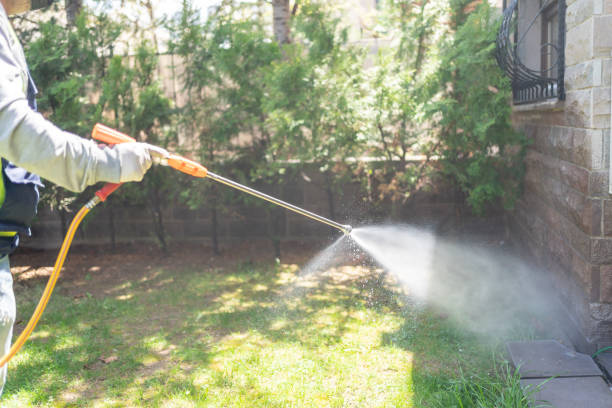 Best Affordable Pest Control Services  in North Druid Hills, GA