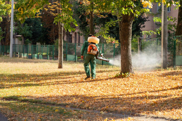 Flea Control Services in North Druid Hills, GA